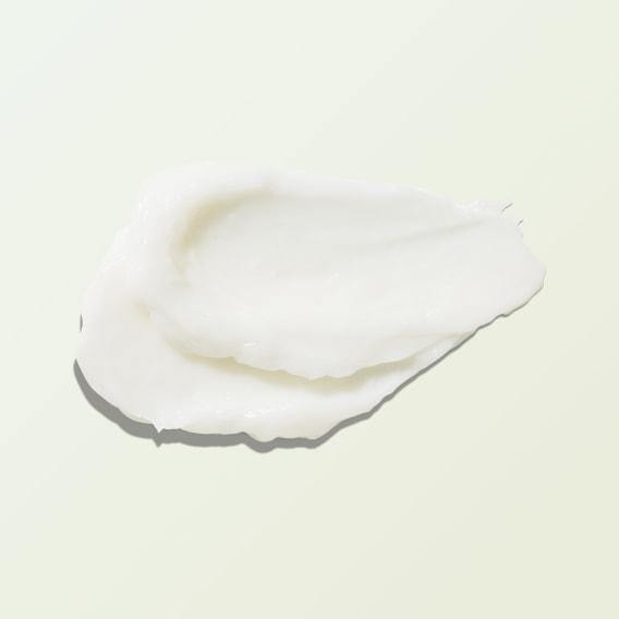 Green Tea EGCG Concentrate Cream - 100% PURE MX